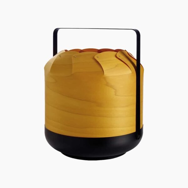 Eames plastic side chair